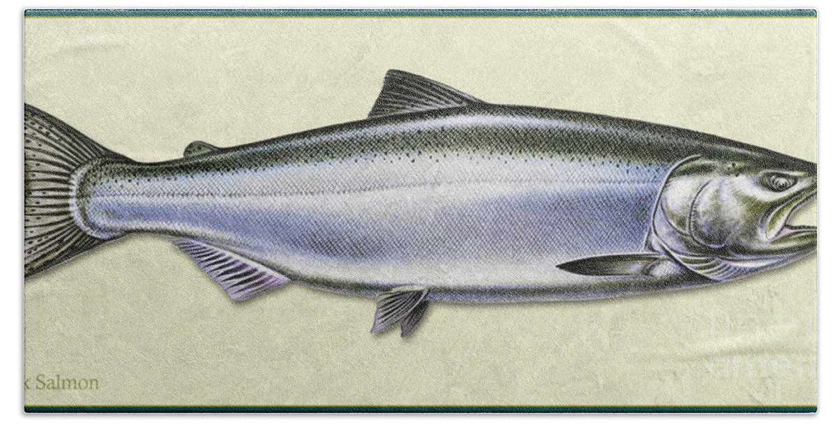Jon Q Wright Fish Id Print Chinook Salmon Flyfishing Fly Freshwater Beach Towel featuring the painting Chinook Salmon ID by Jon Q Wright