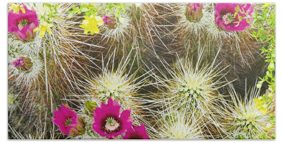 Arizona Beach Towel featuring the photograph Cholla Cactus Blooms by Judy Kennedy