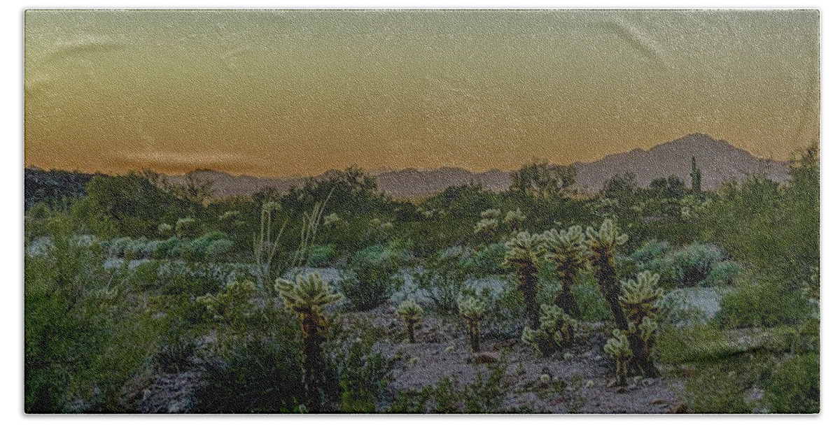 Palm Canyon Beach Towel featuring the photograph Cholla desert sunset by Gaelyn Olmsted