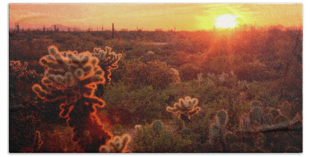 Cholla Sunset Beach Towel featuring the photograph Cholla Sunset in the Sonoran by Saija Lehtonen