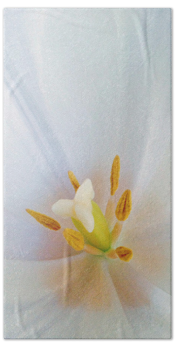 Tulip Beach Towel featuring the photograph Christened Tulip by Gwyn Newcombe