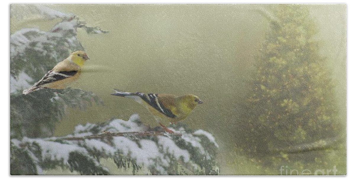 Goldfinches Beach Towel featuring the photograph Christmas with the Goldfinches by Janette Boyd