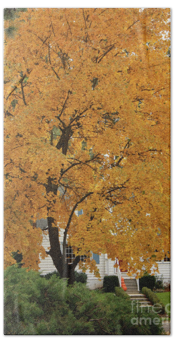 Autumn Beach Towel featuring the photograph Classic Autumn Scene by Carol Groenen