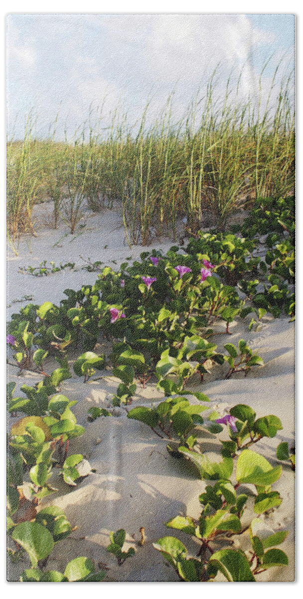 Nature Beach Sheet featuring the photograph Climbing the Dunes by Marilyn Hunt