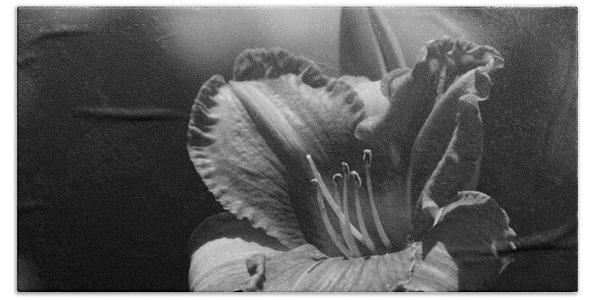 Daylily Beach Towel featuring the photograph Closeup Daylily in Black and White by Colleen Cornelius