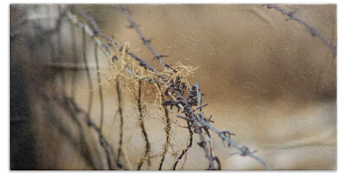 Golden Beach Towel featuring the photograph Closeup of Barbed Wire and Dried Vines in Tawny by Colleen Cornelius
