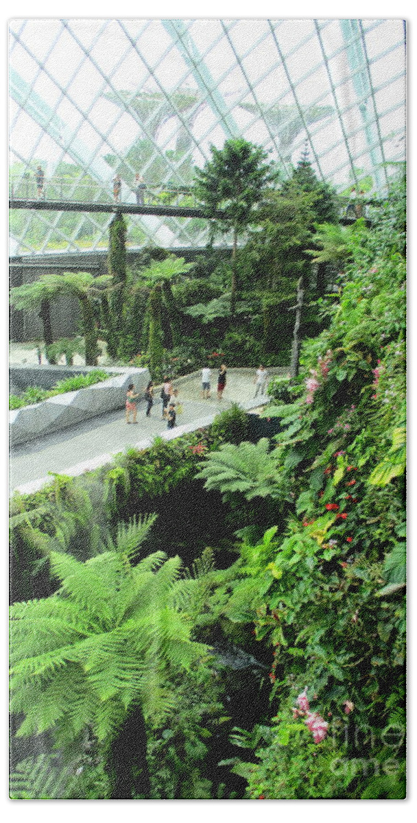 Gardens By The Bay Beach Towel featuring the photograph Cloud Forest 19 by Randall Weidner