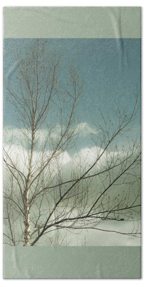 Tree Top Beach Sheet featuring the photograph Cloudy Blue Sky Through Tree Top No 1 by Ben and Raisa Gertsberg