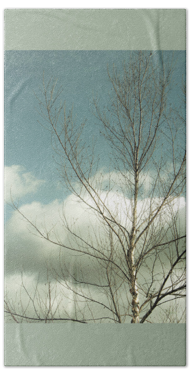 Tree Top Beach Sheet featuring the photograph Cloudy Blue Sky Through Tree Top No 2 by Ben and Raisa Gertsberg