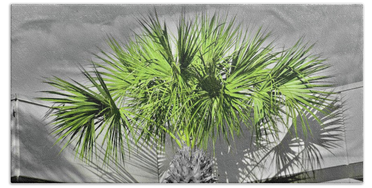 Palm Beach Sheet featuring the photograph Cloudy Day Palm by Florene Welebny