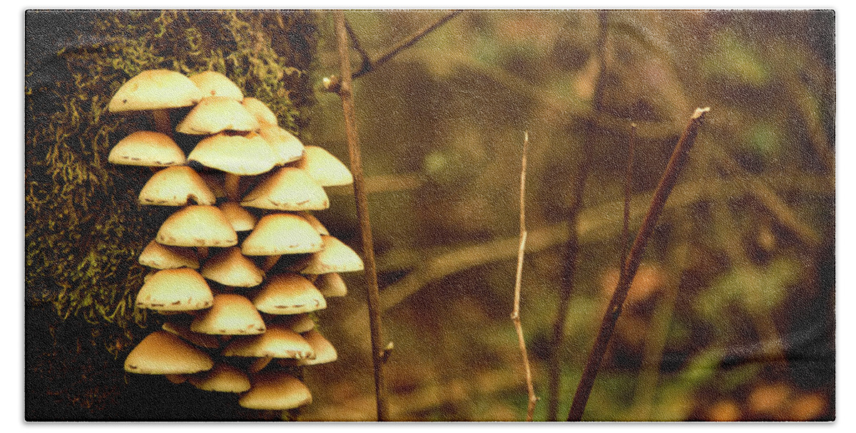 Mushrooms Beach Sheet featuring the photograph Cluster o Shrooms by Monte Arnold