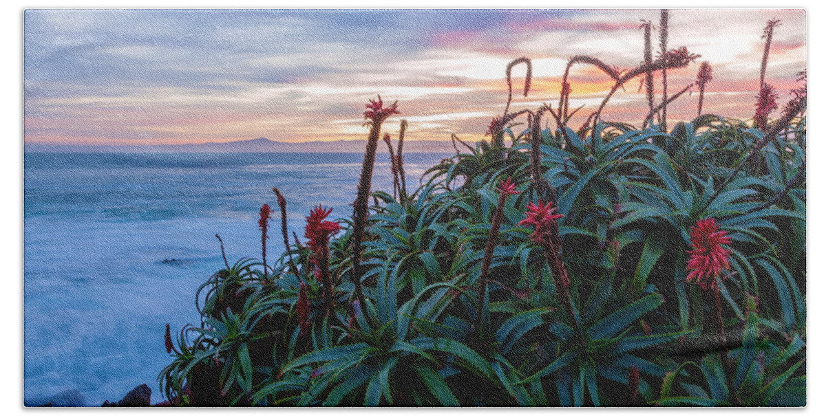 Landscape Beach Towel featuring the photograph Coastal Aloes by Jonathan Nguyen