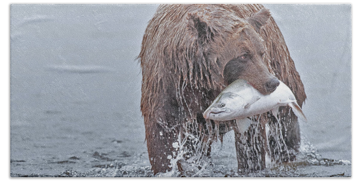 Coastal Beach Towel featuring the photograph Coastal Brown Bear with Salmon by Gary Langley