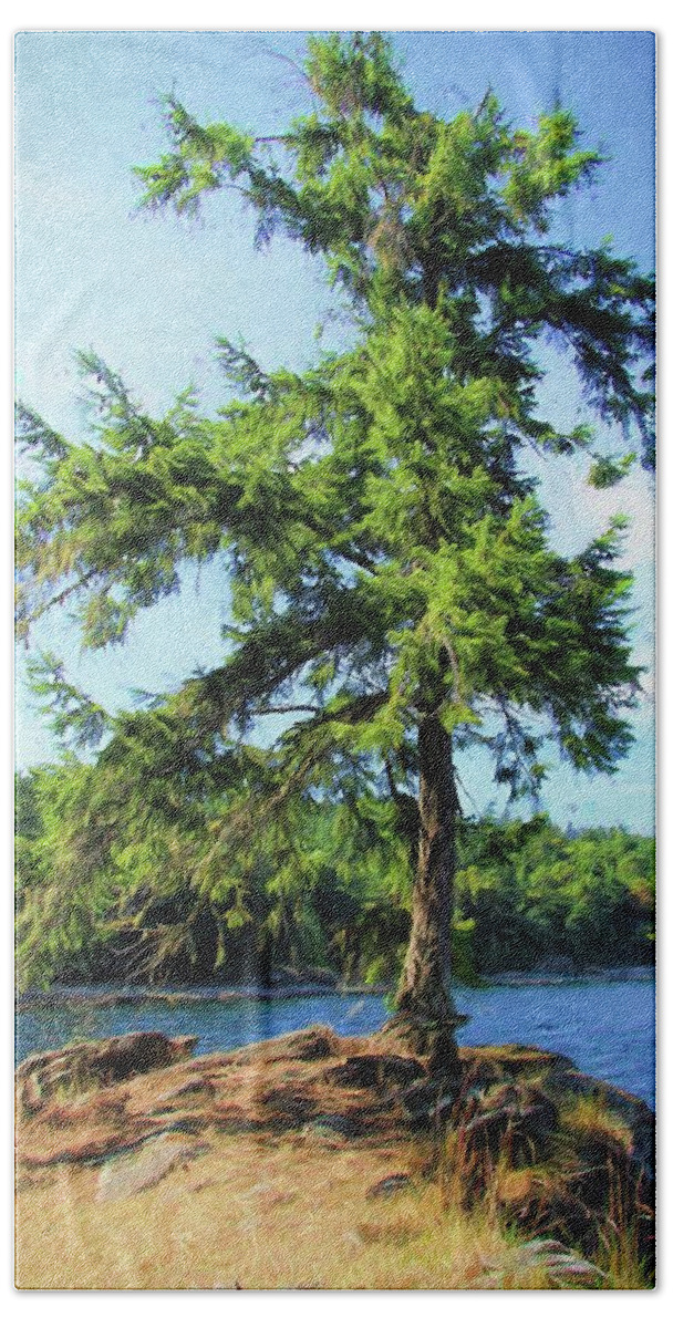 Tree Beach Towel featuring the photograph Coastal View by Kathy Bassett
