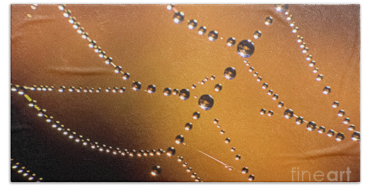 Dew Beach Towel featuring the photograph Cobweb with Dew Drops by Heiko Koehrer-Wagner