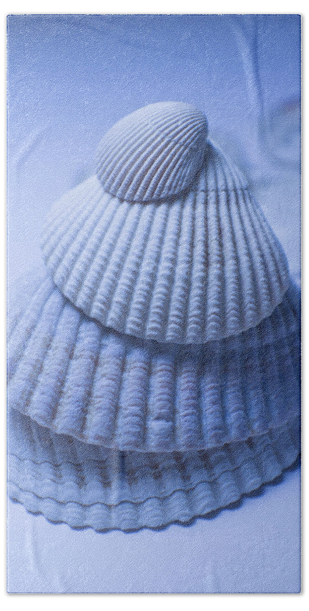 Adria Trail Beach Towel featuring the photograph Cockle Shells in Blue by Adria Trail