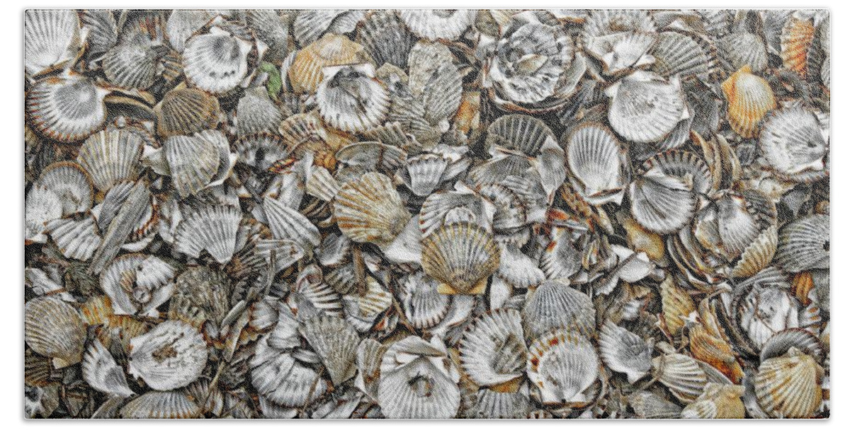 Cockleshells Beach Towel featuring the photograph Cockleshells 1 by David Birchall