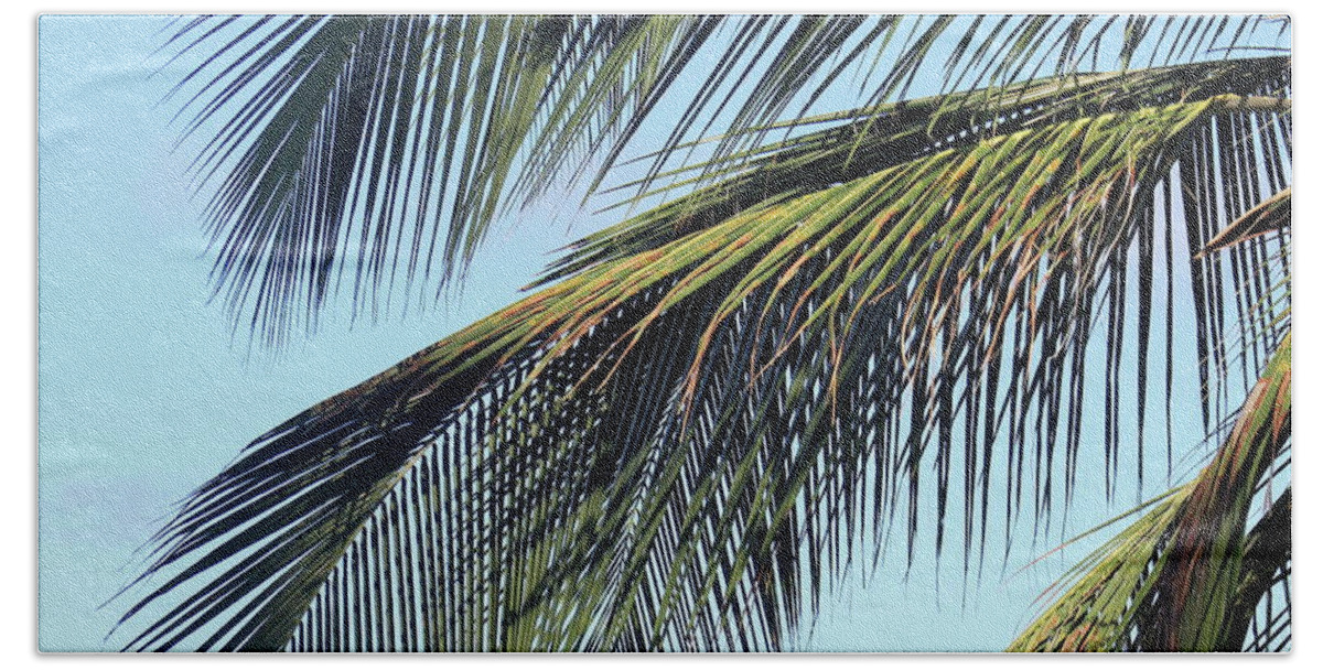 Coconut Palm Tree Beach Towel featuring the photograph Swaying Palm Branches by Alice Terrill
