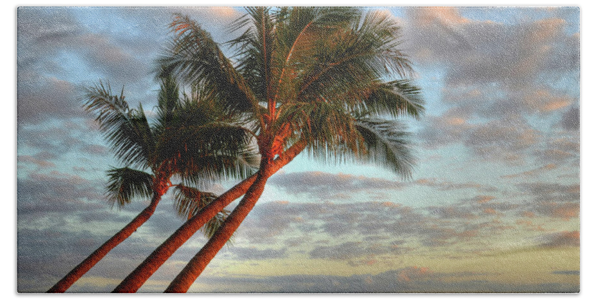 Coconut Palms Beach Towel featuring the photograph Coconut Palms by Kelly Wade