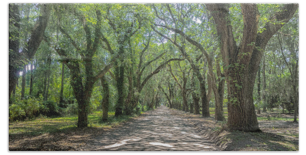 Landscape Beach Towel featuring the photograph Coffin Point Roadway by Patricia Schaefer