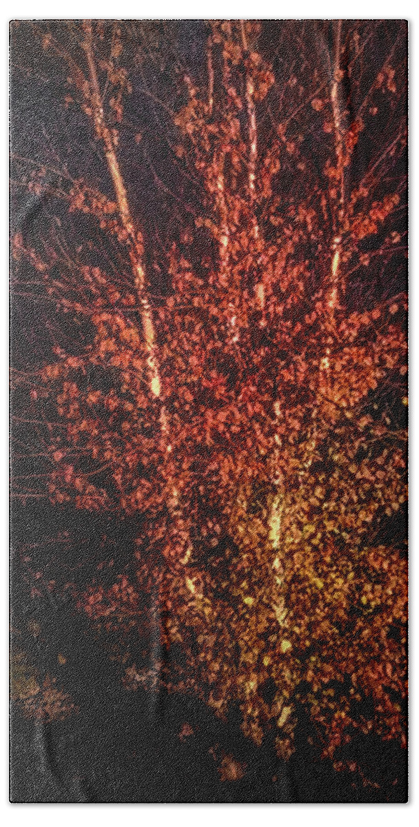 2016 Beach Towel featuring the photograph Color Burst in Fall by George Harth
