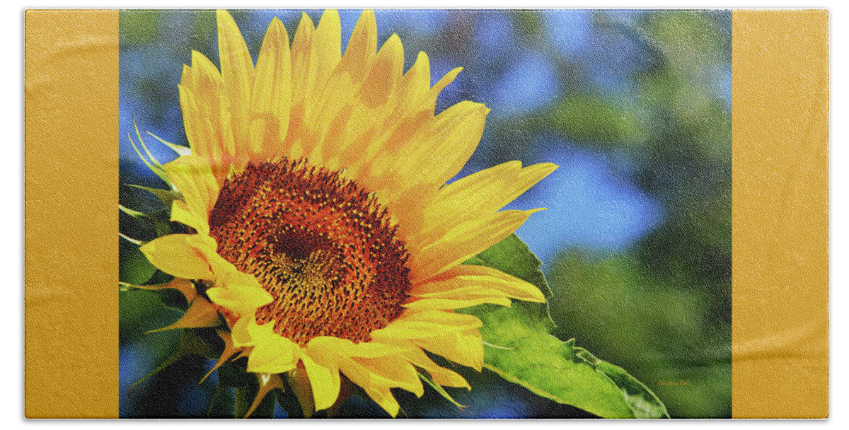 Sunflower Beach Towel featuring the photograph Color Me Happy Sunflower by Christina Rollo