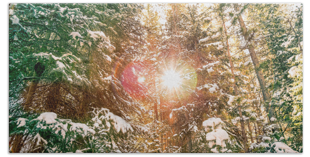 Winter Beach Towel featuring the photograph Colorado Rocky Mountain Snow and Sunshine by James BO Insogna