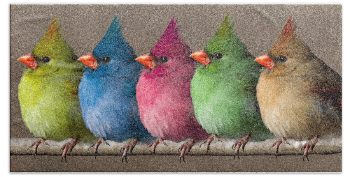 Birds Beach Sheet featuring the photograph Colored Chicks by John Haldane