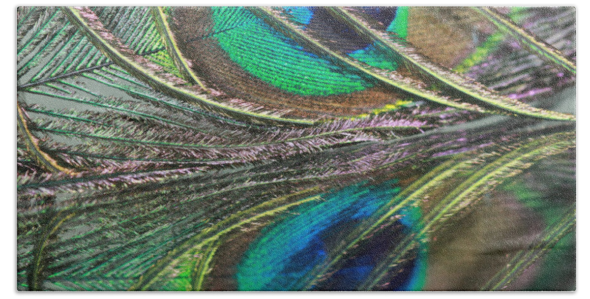 Peacock Beach Towel featuring the photograph Colorful Feather Strands by Angela Murdock
