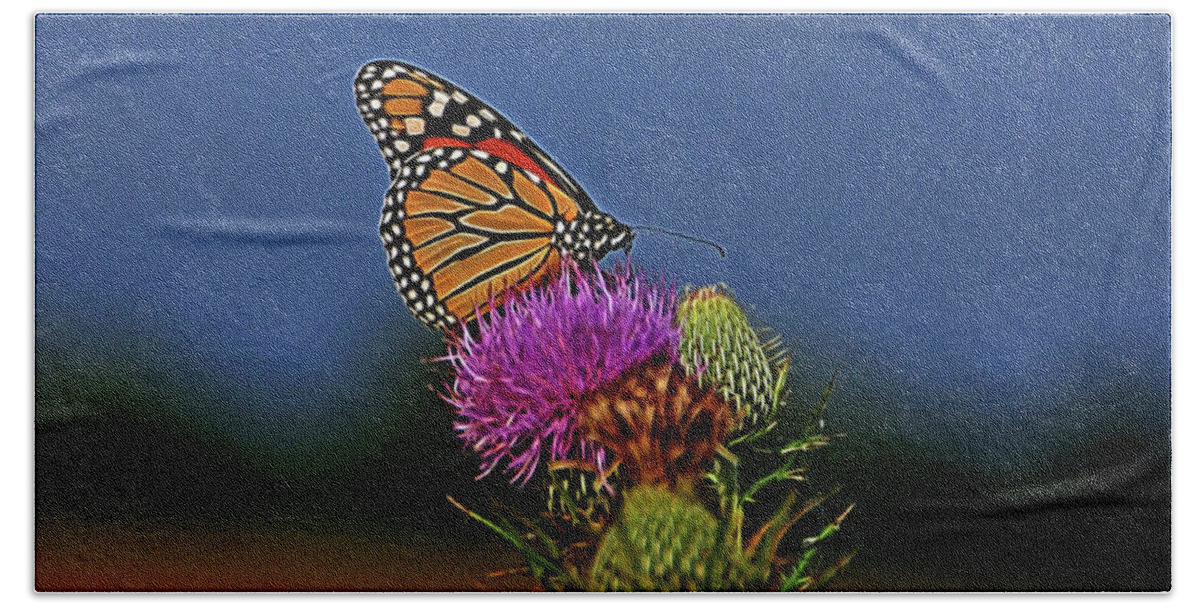 Butterfly Beach Towel featuring the photograph Colorful Monarch by Sandy Keeton