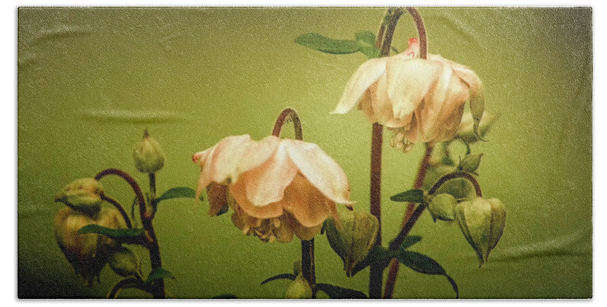 Flowers Beach Sheet featuring the photograph Columbines in Summer by Skip Tribby