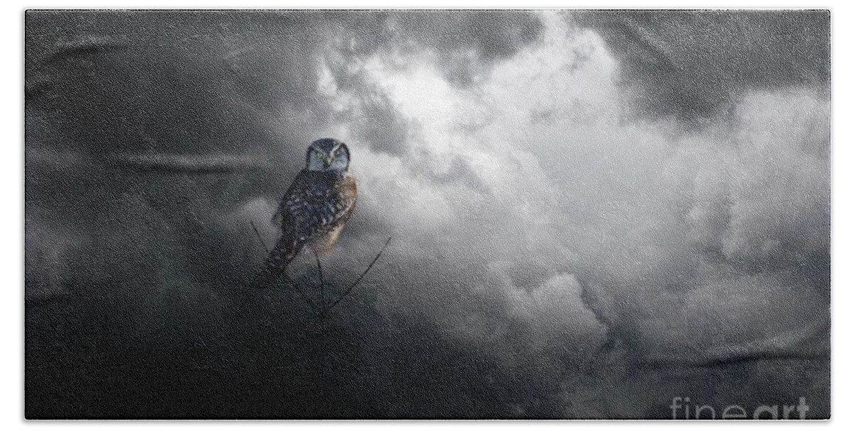 Owls Beach Towel featuring the photograph Come away with me by Heather King