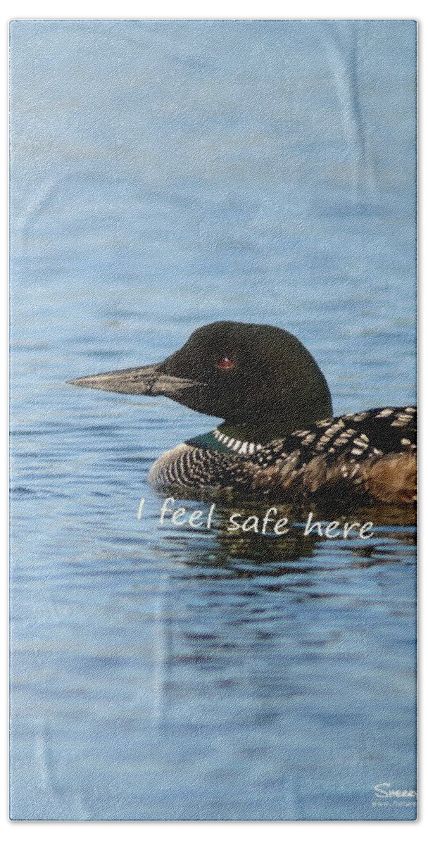  Beach Sheet featuring the photograph Common Loon says I Feel Safe Here by Sherry Clark