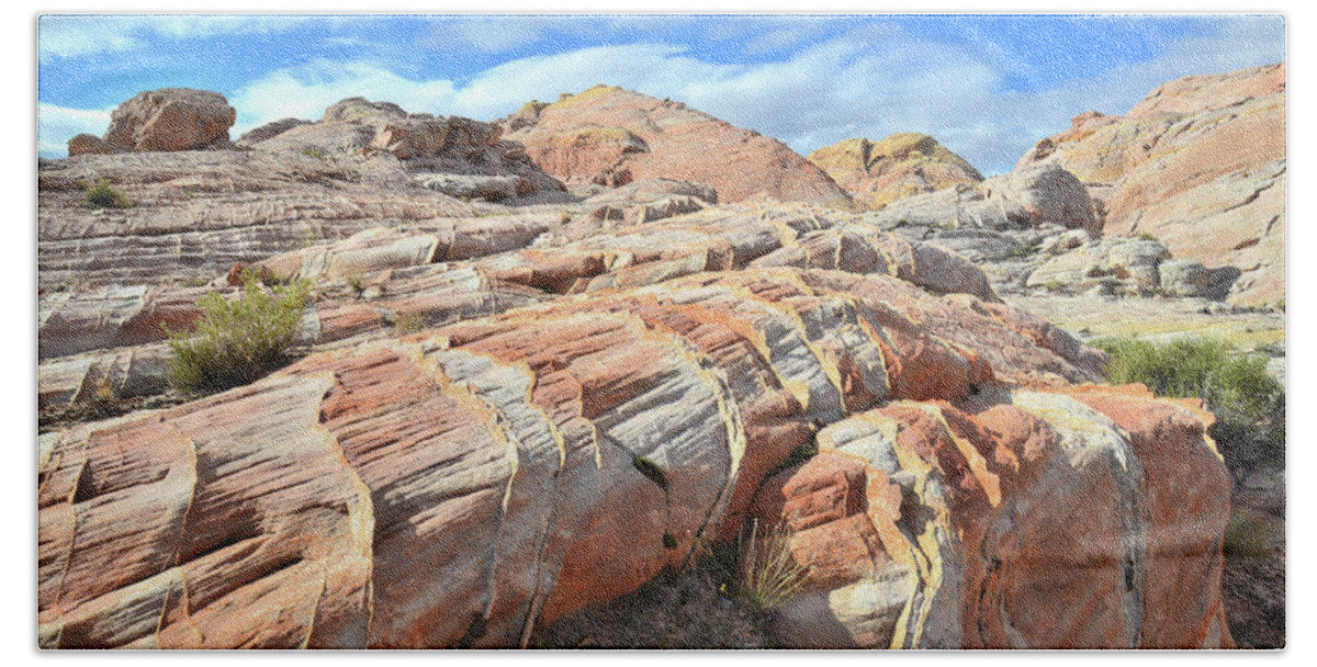 Valley Of Fire State Park Beach Towel featuring the photograph Concentric Color in Valley of Fire by Ray Mathis
