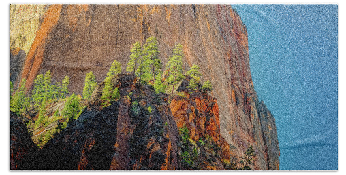 Zion National Park Beach Sheet featuring the photograph Copse On A Cliff by Dave Koch