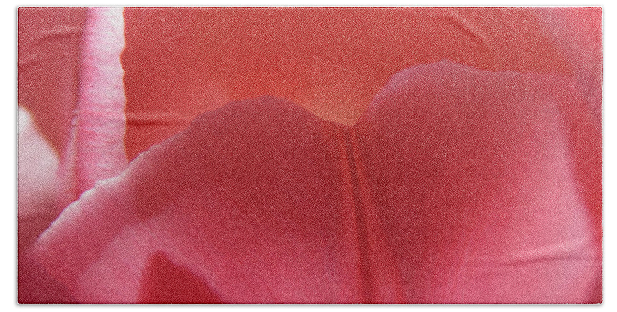 Tulip Beach Towel featuring the photograph Coral Tulip Macro by Johanna Hurmerinta