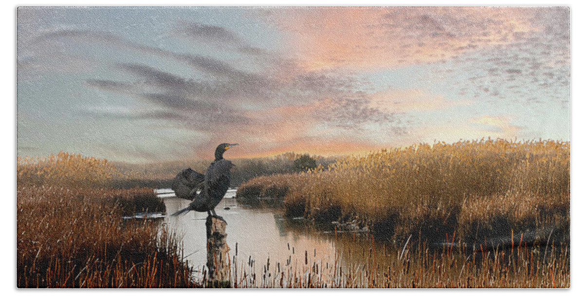 Cormorant Beach Towel featuring the painting Cormorant At Sunset by M Spadecaller
