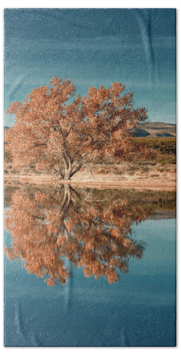 Birds Beach Towel featuring the photograph Cotton wood tree by Usha Peddamatham