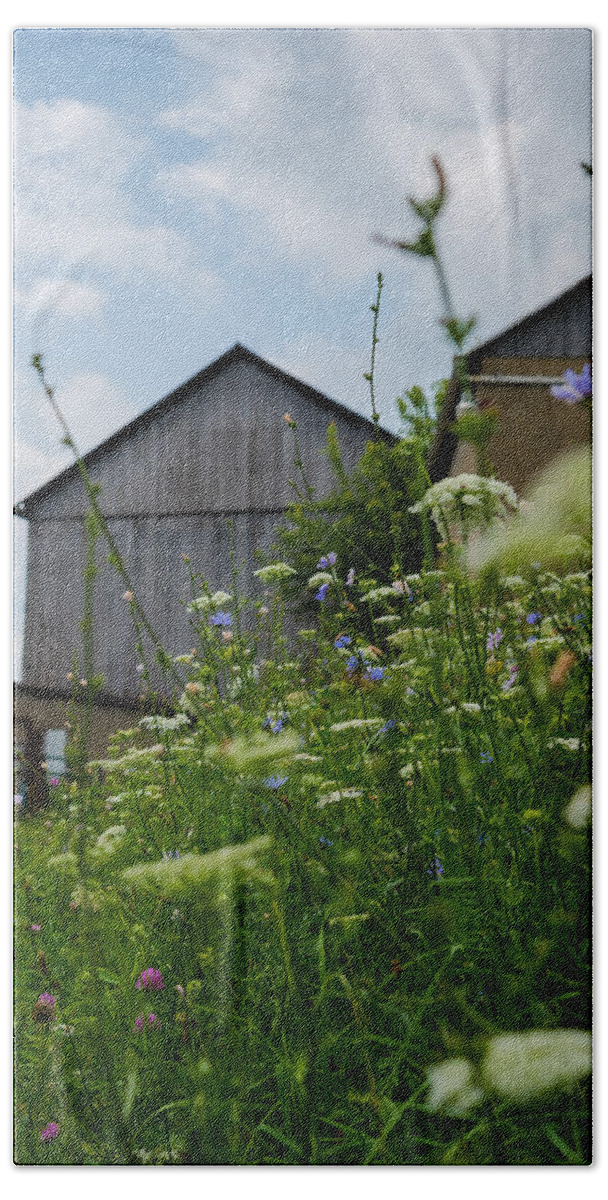 Farm Beach Towel featuring the photograph Country Life by Holden The Moment