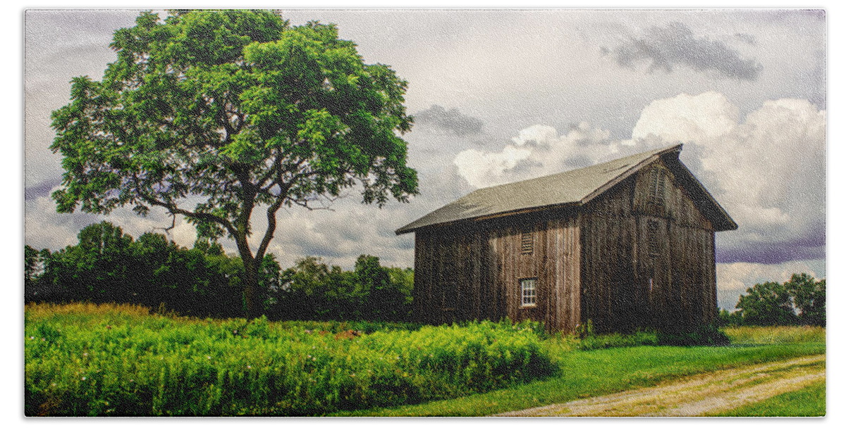 Barn Beach Towel featuring the photograph Country Life by Skip Tribby