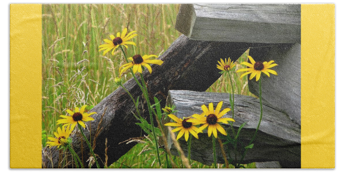 Black Eyed Susans Beach Towel featuring the photograph Country Roads by Angela Davies