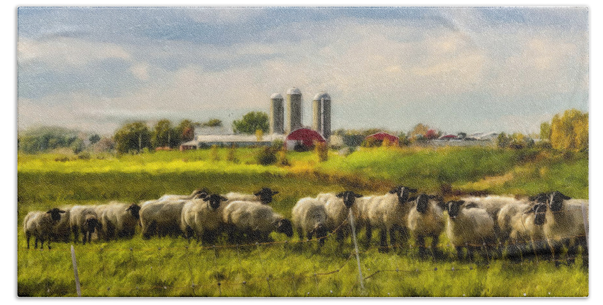 Sheep Beach Towel featuring the photograph Country Sheep by Ken Morris