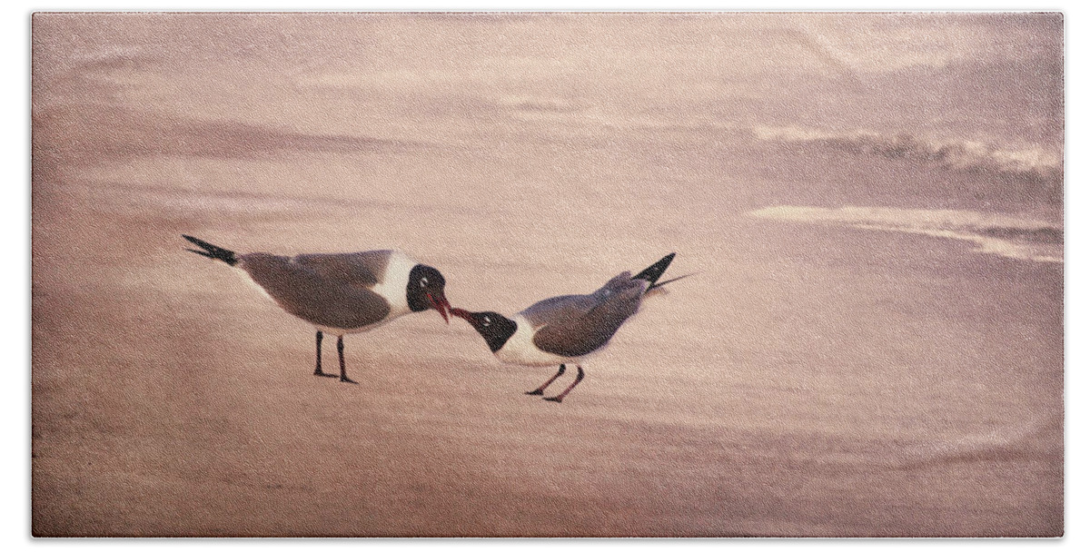 Laughing Gulls Beach Towel featuring the photograph Courtship Dance of the Laughing Gull by Leda Robertson