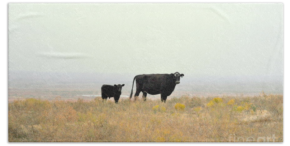Cows Beach Sheet featuring the photograph Cow and Calf by Anjanette Douglas