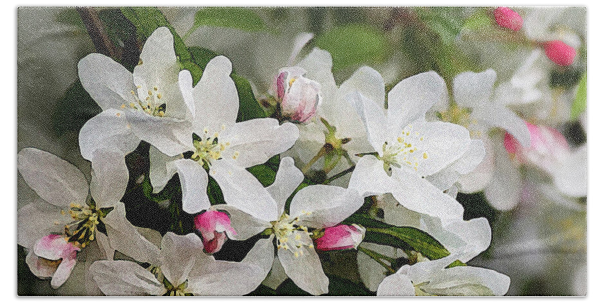 Crabapple Blossoms Beach Towel featuring the photograph Crabapple Blossoms 13 - by Julie Weber