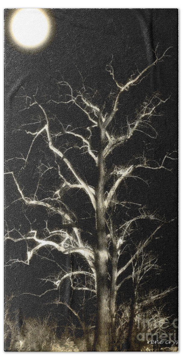 Craggy Tree Beach Towel featuring the photograph Craggy In The Moonlight by Rene Crystal