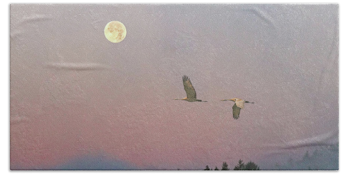 Sandhill Cranes Beach Towel featuring the photograph Cranes and a Full Moon at Dawn by Peggy Collins