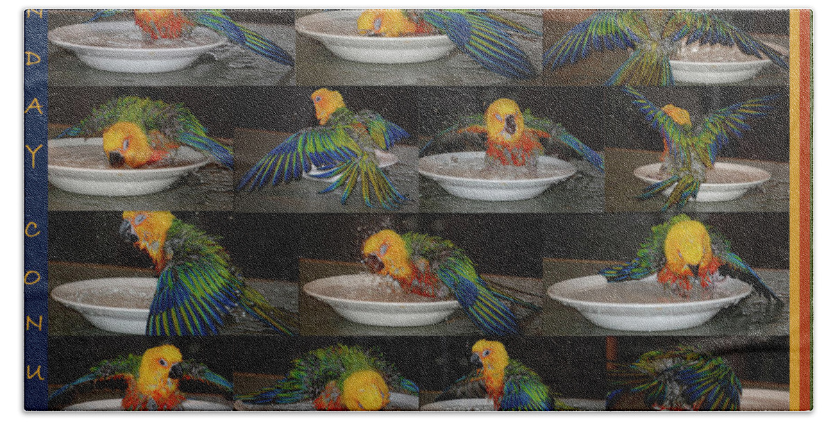 Jenday Conure Beach Towel featuring the photograph Crayolas Bath Time by DigiArt Diaries by Vicky B Fuller