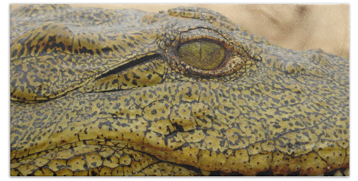 Crocodile Beach Sheet featuring the photograph Croc by Betty-Anne McDonald