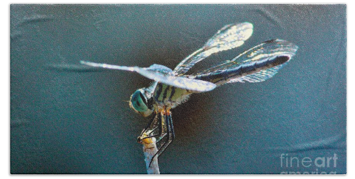 Dragonfly Beach Towel featuring the photograph Crystal Wings by Marcia Breznay